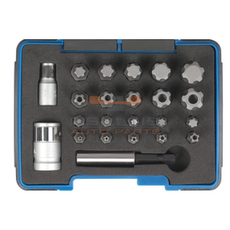 SW-STAHL BIT ASSORTMENT T PLUS PROFILE (04191L)