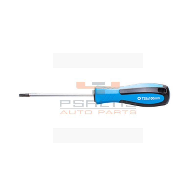 SW-STAHL SCREWDRIVER 75 X T8 (31725SB)