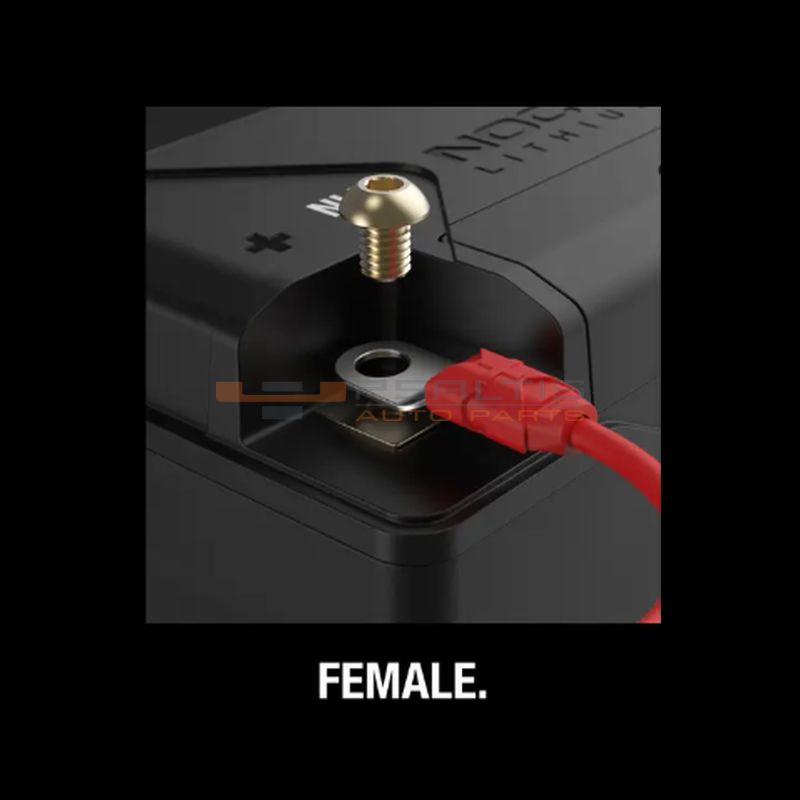 NOCO 12V 500A Lithium Powersport Battery (NLP14) - Image 7